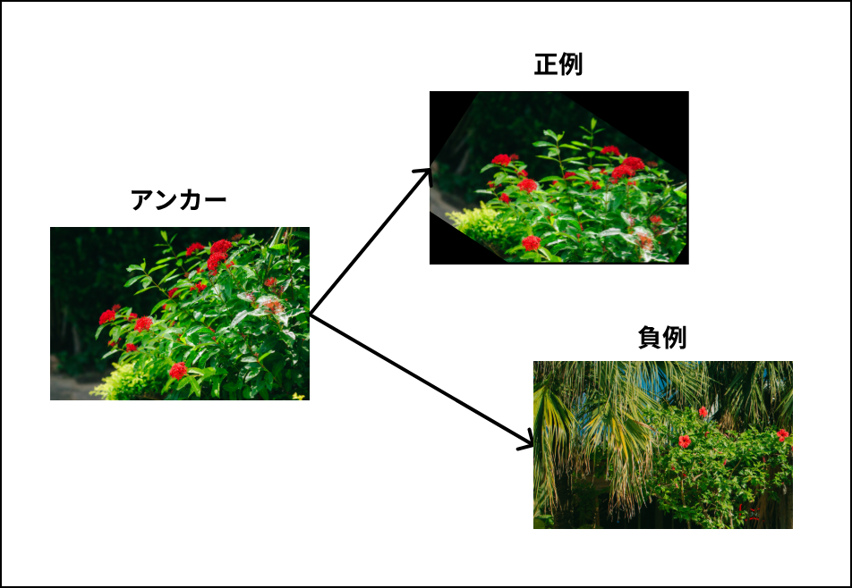 contrastive_learning