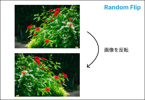 Random Flip