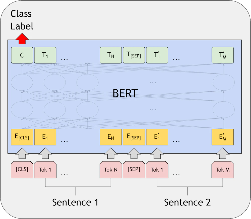 bert_fine_tuning1