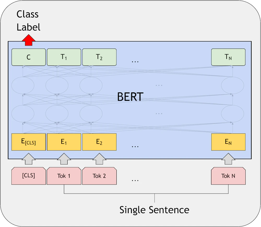 bert_fine_tuning2