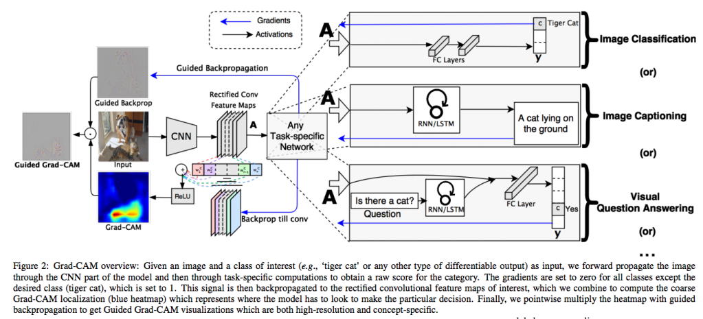 grad_cam